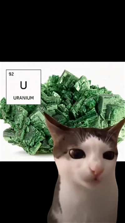 mmm tasty