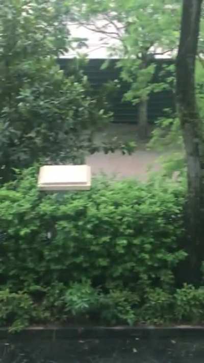 The jogging path is flooded!!!