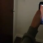 The Cha Cha Snort