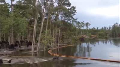 A sinkhole swallows trees in a Louisiana swamp following the collapse of a deep saltmine roof