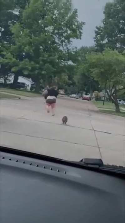 Racoon: 1. People: 0.