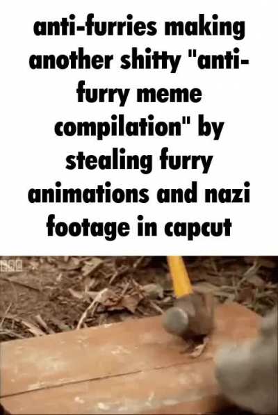 Seriously why is it always the same formulaic shit with anti-furries?