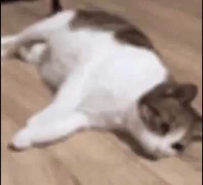 I fell down (sauce is someone in r/dogelore discord server)