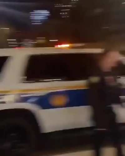 PAL MCLMI