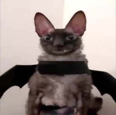 Verry Spoooky!! OooOoOo!