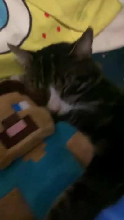 they are such good friends