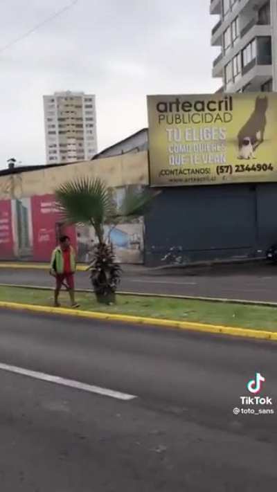 Simplemente iquique