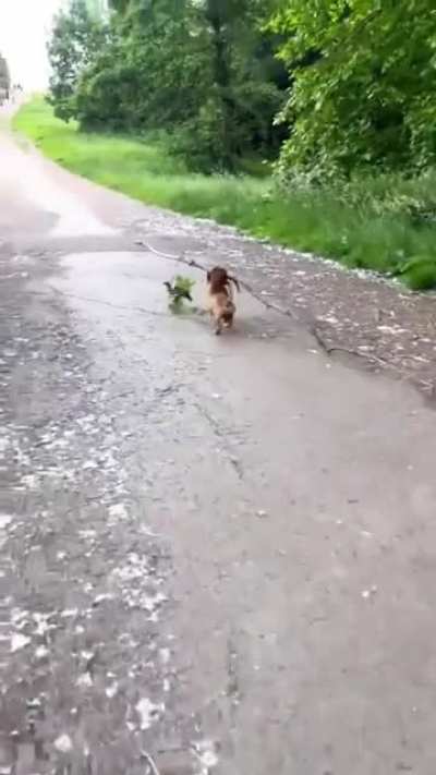 One busy branch manager