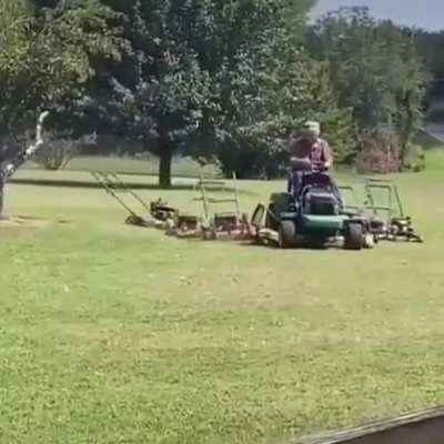 A flock of baby lawnmowers following the alpha mower as they migrate during lawn season