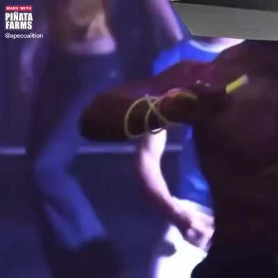 Me when I receive my Cyberwhistle after purchasing it with Dogecoin 🕺🐕
