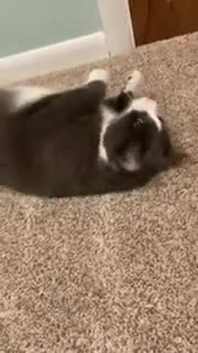 He’s as soft as He looks