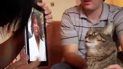 Racist cat