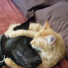 Tolerance
