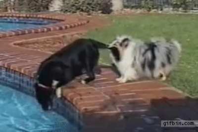 A helping mouth!
