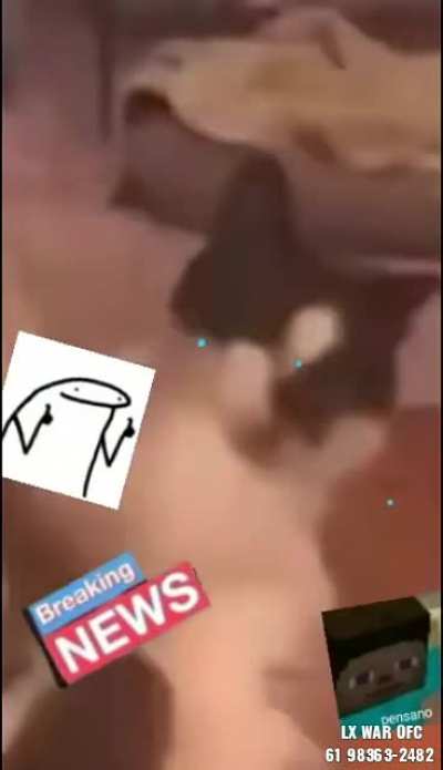 nunca confie em tik tokers