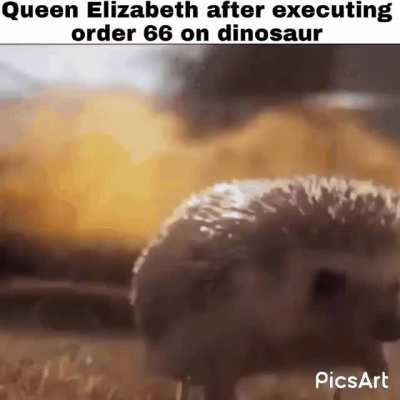 And they all vanished