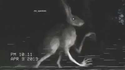 Hueheyhey