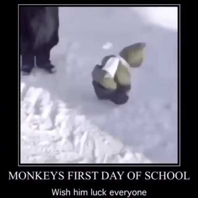 Good luck!!!