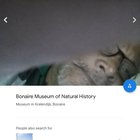 These photos on the official google maps page for the Bonaire Museum of Natural History