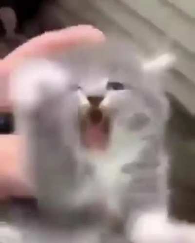Mia-