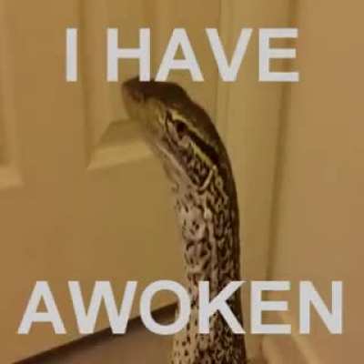 His slumber has ended