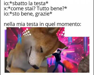 memesITA - Video #7476