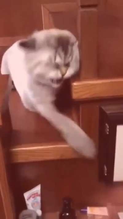 Baka 👉👈