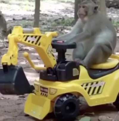 Working monke