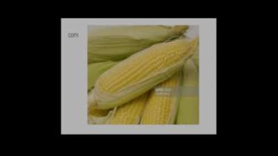 corn (ORIGINAL MEME FOR ONCE)