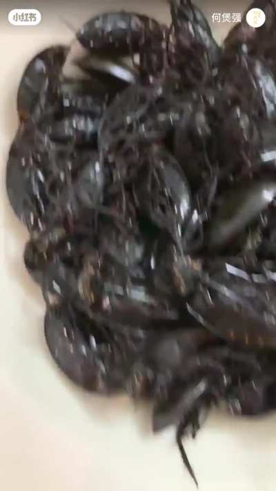 Cantonese Delicacy