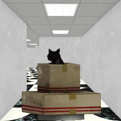 Tank Cat