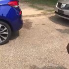Her düştü<wbr>ğünde üzülerek kahkaha attım amk kilo vermek için motivasyon videosu olur bundan
