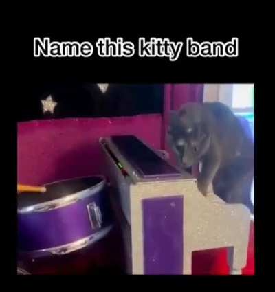 wunky band