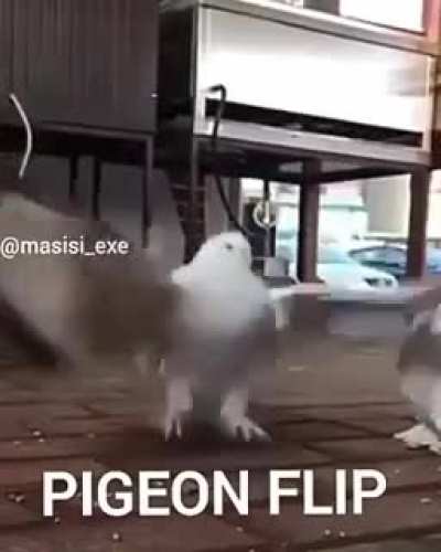 Jodidamente épico