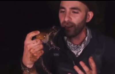Thug toad 