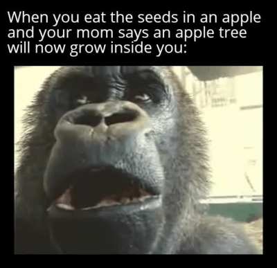 I think the tree will kill me