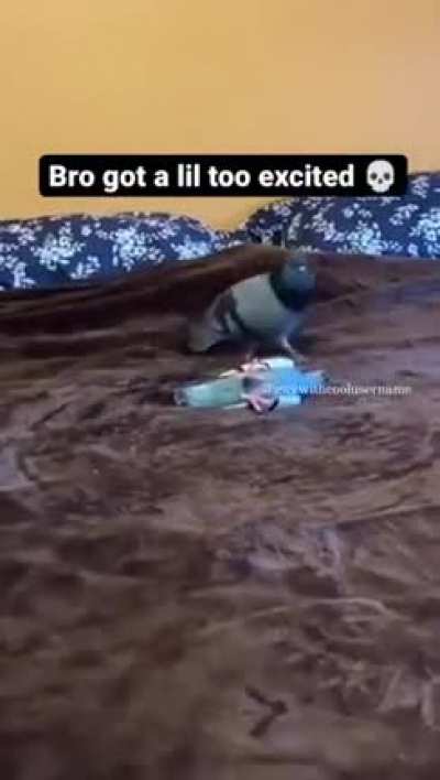 Wooooooooo