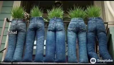 Veg