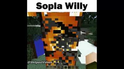 Sopla Willy