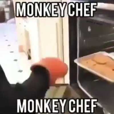 monkey