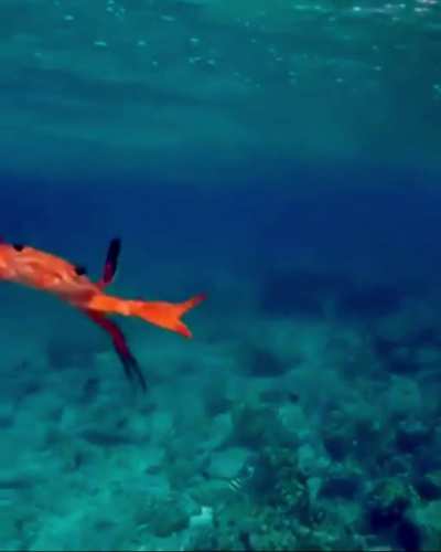 Mr Crabs, how’s it going? Just hangin’ in there…
