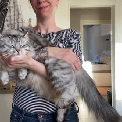 Cuddlefluff