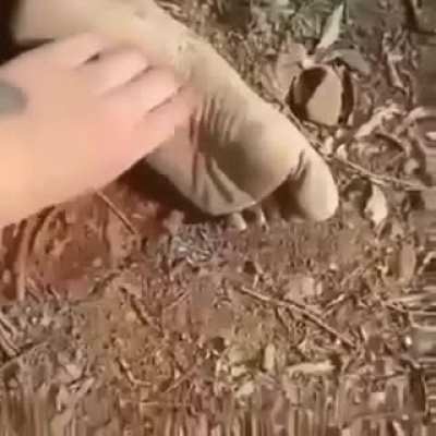 Hmmmmm