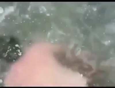 Dedicated camerawork