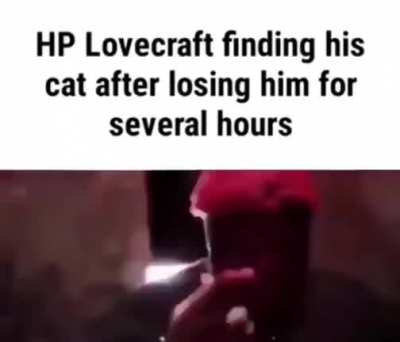 Dont look up hp lovecraft's cats name ☹