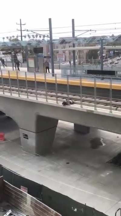 Man jumps from crane
