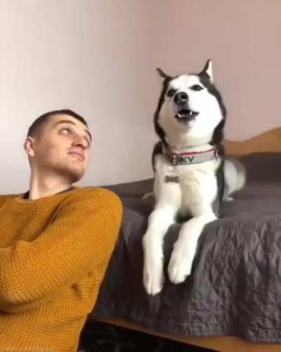 Do tell me more