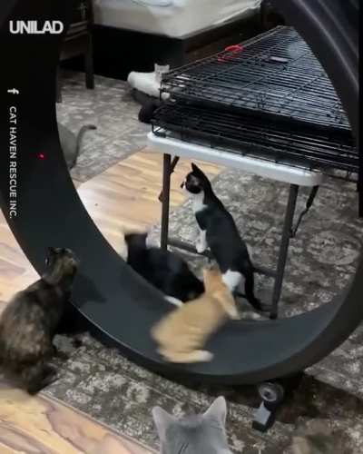 lazer slaps