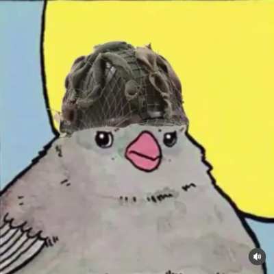 Erika Bird