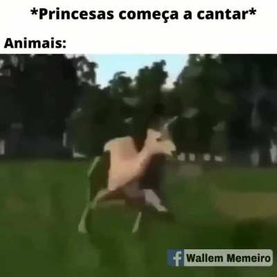 ,_, brisei ;-;